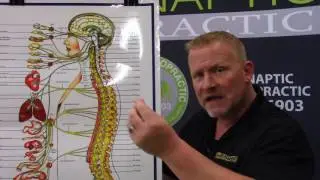 Integrity Of The Motion Segments Of The Spine - Vancouver, Wa Chiropractor Dr Troy Dreiling