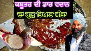 ਕਬੂਤਰ ਦੀ ਡਾਰ ਵਦਾਨ ਦਾ ਗੁੜ ਤਿਆਰ ਕੀਤਾ ​⁠@GopiMalikpur #kabootar #pigeon #kabootar