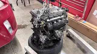 2011 Toyota Prius: damaged head found coolant in each cylinder's. engine replacement🤟🏼