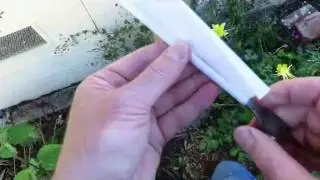 Orchard Mason Bee Tutorial Video - Bee Block Best Practices - Solitary Bee Lessons Learned Video