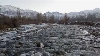 Wild Mountain River &mdash; The Raw Power of Nature 🌊⛰️