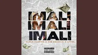 IMali 2.0