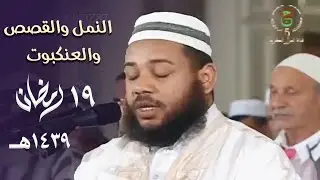 خشوع وتحبير وطمأنينة في تلاوة هذه الليلة المميزة للشيخ د. عبدالمطلب بن عاشورة - 19 رمضان 1439هـ