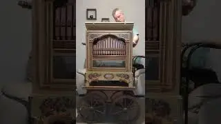 O Holy Night - Raffin 31/100 organ