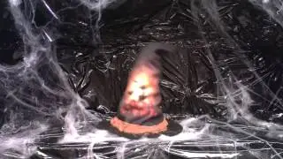 Animated Rockin' Witch Hat - Karnival Costumes TV
