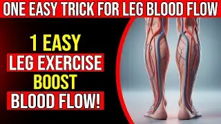 1 Simple Exercise to Boost Blood Flow in Your Legs & Feet NATURALLY -  Dr  Lab Reveals This Secret!