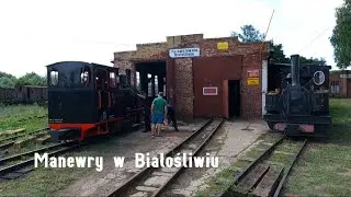TWKP - Towarzystwo Wyrzyska Kolej Powiatowa - Manewry Białośliwie - Ld1-1 oraz Parowóz LOWA