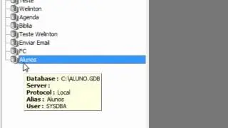 Extract MetaData com o IBExpert