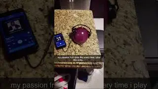 Реакция этой маракуйи на музыку просто уморительная!