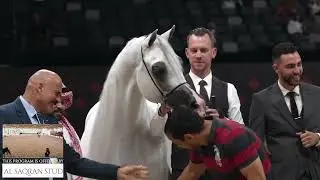 Australasian Int  Championships 2026   Class 20