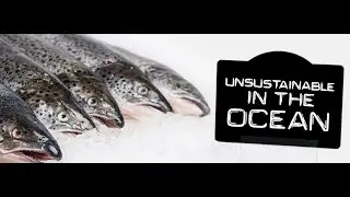 Salmon Wars: Aquaculture, wild fish, and the future of communities (2012)