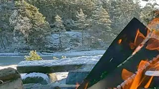 OUT IN THE WOODS LIVESTREAM/ WINTER GRILL IN THE FOREST