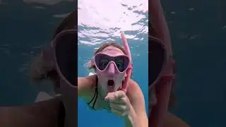 I found a rare frog fish!!!