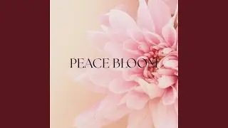 Peace Bloom