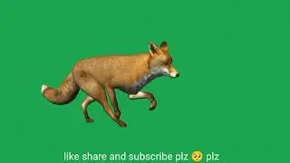 Fox green screen video no copyright free download