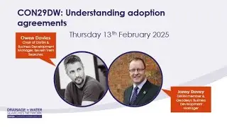 Understanding adoption agreements