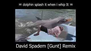 ♒ dolphin splash it when i whip It ♒ Gunt Remix [David Spadem Mirror]