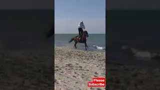 hours running funny#funnyvideo #dog #animals #shorts #template#yt  #videoback#ytshort #ytshorts