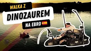 ZŁOWIŁEM Z BELLYBAOTa SUMA 260CM! 