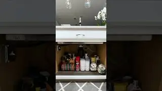 *SIMPLE* Under Sink Cleaning and  Organization #declutter #mentalhealth