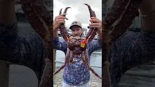 GIANT King Crab in Norway