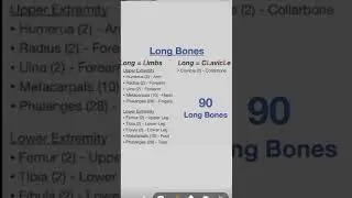 e.g. of long bones.