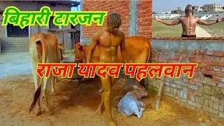 बिहारी टारजन राजा यादव पहलवान