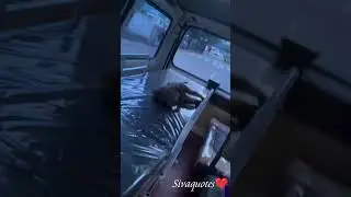 accident poor monkey Rescued 🌍👍