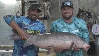 Buffalo, Mo. man reels in over 55-lb. black buffalo fish in Stockton Lake