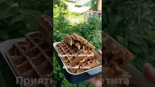 Рецепт пп протеиновые вафли #кухня #рецепт #cooking #funny