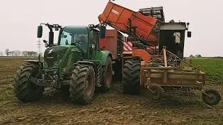 Kopanie marchwi 2022 ❗🇵🇱 dewulf r3000 & Fendt 716 Vario ❗ Akcja Podkarpacie 🇵🇱🇵🇱❗#fendt #polska