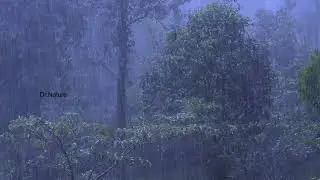 Real Rain ambient relaxation || wellness ,peace, calm, yoga & Sleep || Dr.Nature ||#15