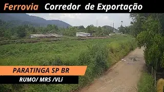 TREM AO VIVO PARATINGA  S&Atilde;O VICENTE SP BRASIL