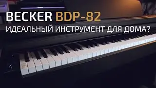 Цифровое пианино Becker BDP-82 | Подходит для обучения? (С Евгением Кобылянским)