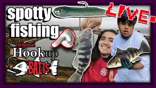 spotty fishing with hook up baits for the fist time