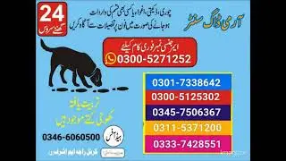 Army Dog Center Pakistan #03005271252 #armydogcenter #armydogcenterokara 