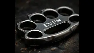 EVPN 101