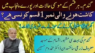 Best High Yielding Wheat Variety-2024 | Selection of Wheat Variety as Per Agri-Zones | Cyber Agri Ex