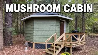 Cedar Pond Mushroom Cabin in the Shawnee National Forest (Airbnb)