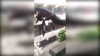 Extreme Phone Pinching