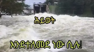 እንደተለመደ ነው ሲሉ! By singer Beyene Bedicha