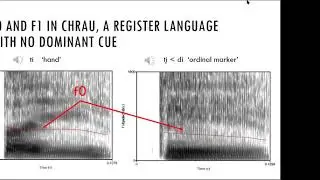 The acoustics of onset voicing in Chrau, Chru and Jarai, seminar by Dr. Marc Brunelle