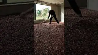 Custom Epoxy Floor with Deep Red Stone Aggregate #decor #chicago #home#video #shortvideo #shorts