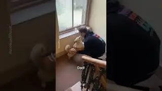 Corgi's Heartwarming Reunion with Dad! 🐾