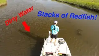 How Many Redfish are in this DIRTY Water!? Back to Louisiana Fishing!