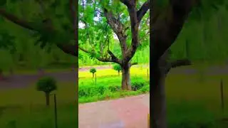 #BAMU University Chatrapati Sambhaji Nagar #bamuuniversirtnews  #bamuuniversirtynews