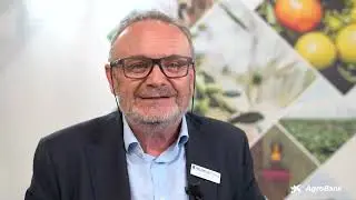 #RincónDeLaInnovación: Ibarra