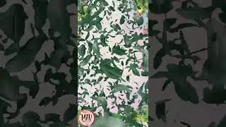 Latest E-Invitations || Animated Wedding Video || Digital Invitation Wedding  #wedding  #mavinvites