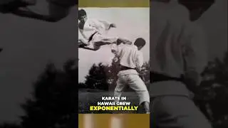 From Hawaii Beach to Global Icon: Karate Master's Epic Journey!