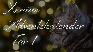 Was Katzeneltern zu Hause haben sollten!